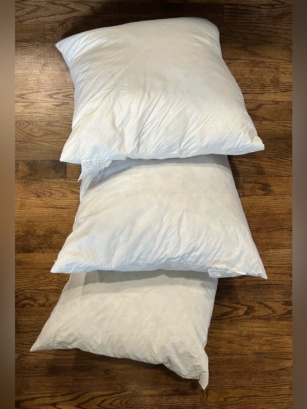 C&B Feather Fill Pillow Insert